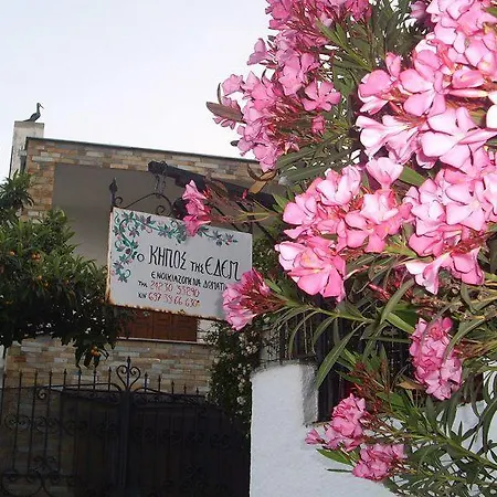 Garden Of Edem أفيسوس