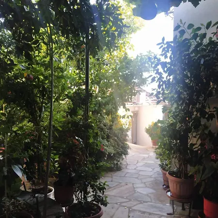Garden Of Edem アフィソス